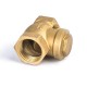 forge check valve 1/2 inch to 1 inch Brass valve ss304 filter  DN25 Brass Check valve